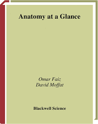 Anatomy at a glance